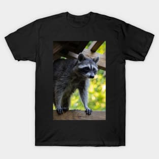 Pretty Raccoon Girl T-Shirt